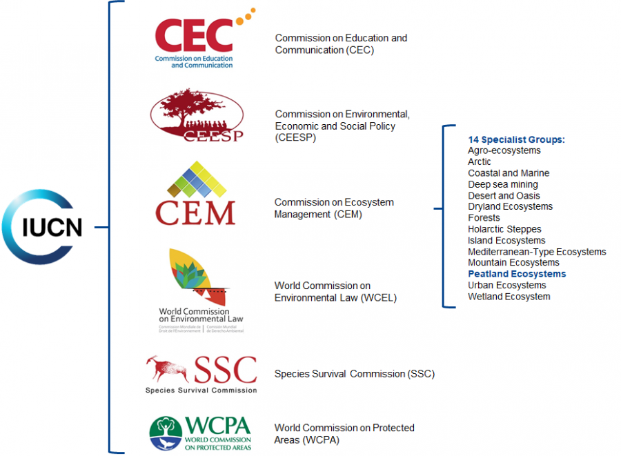Organisational structure of IUCN's Commission of Ecosystem Management