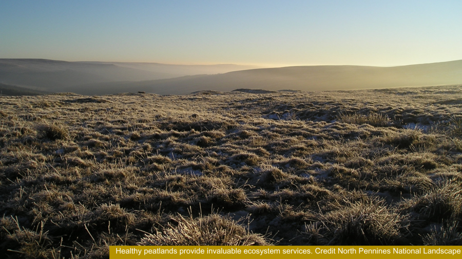 Healthy peatlands provide invaluable ecosystem services. Credit North Pennines National Landscape