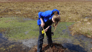 Scientist taking scientific measurements in peatland. Credit Emma Hinchliffe