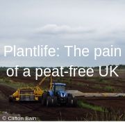 Plantlife: The pain of a peat-free UK