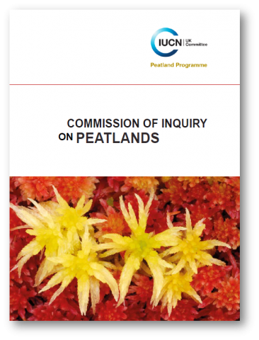 Commission of Inquiry 2011 full report