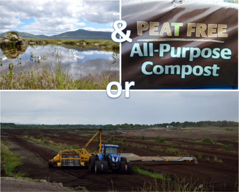 The benefits of peat-free products far outweight the cost of peat extraction.