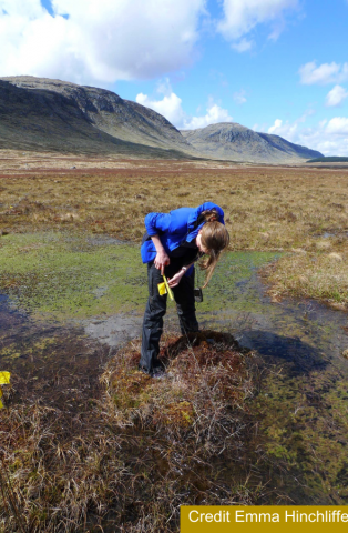 Scientist taking scientific measurements in a peatland. Credit Emma Hinchliffe