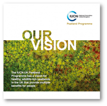 Our Vision Leaflet