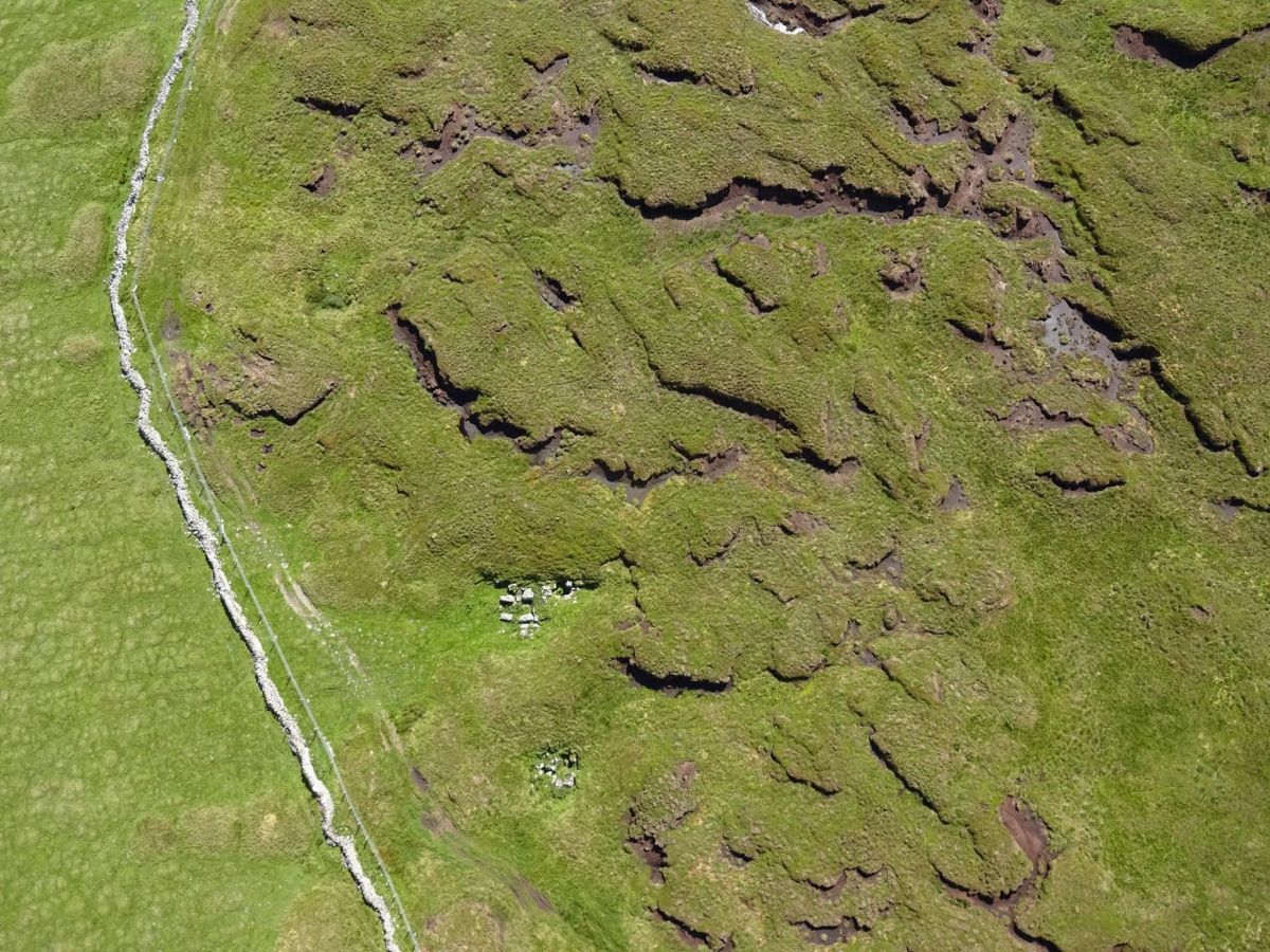Aerial image of degraded bog