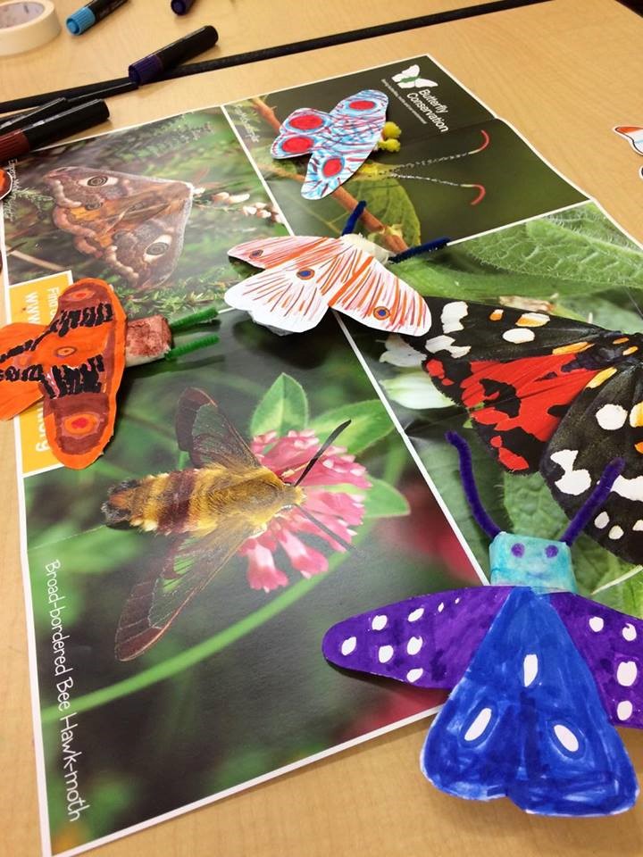 Butterfly crafts 
