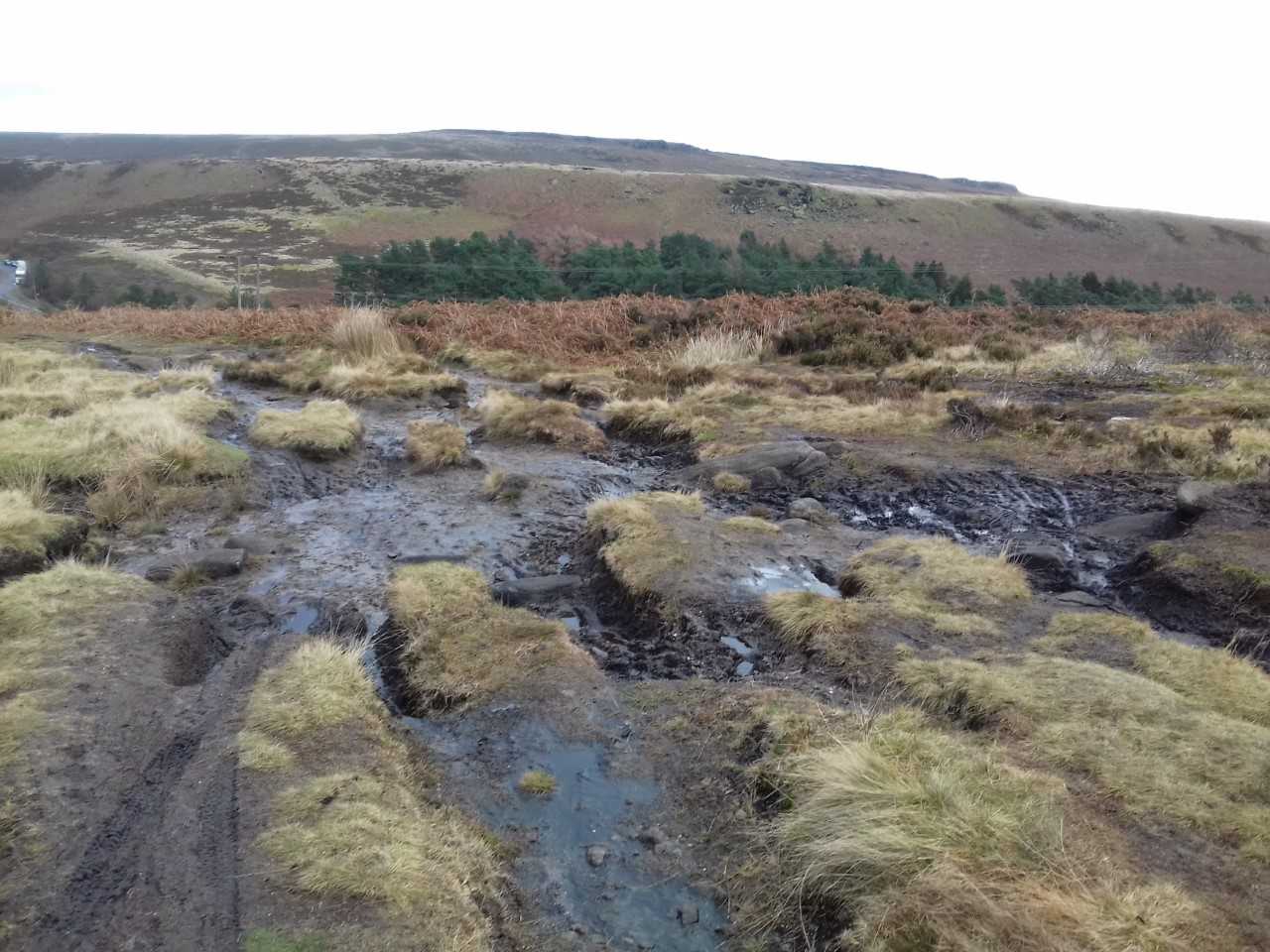 Degraded peat © Moors for the Future