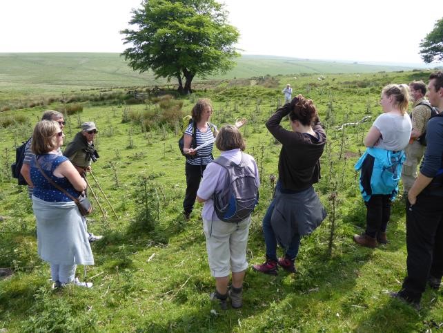 Guided walk on Exmoor Mires