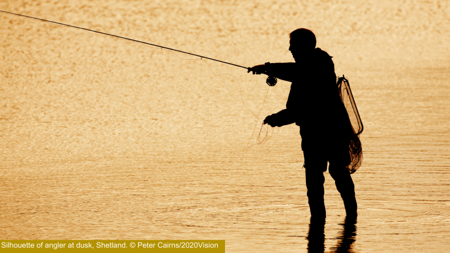 Silhouette of an angler at dusk