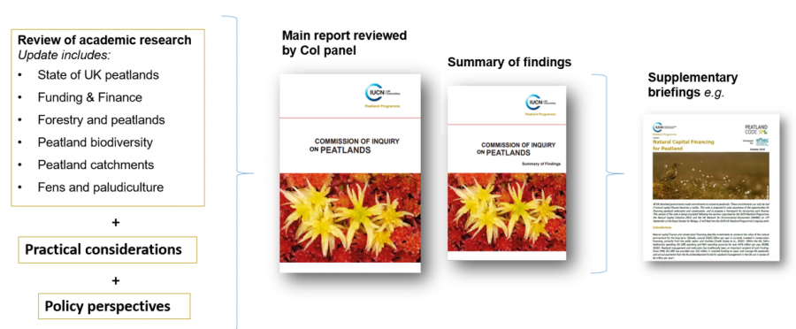 CoI process