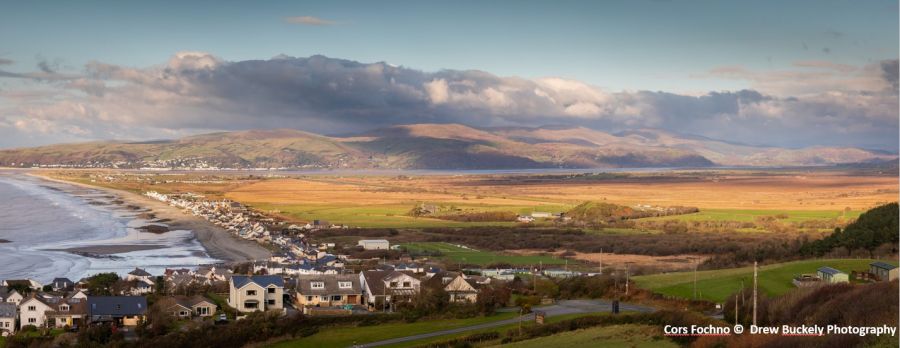 Cors Fochno Copywrite Drew Buckley Photography 