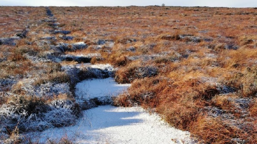 Cuilcagh Mountain site after restoration work