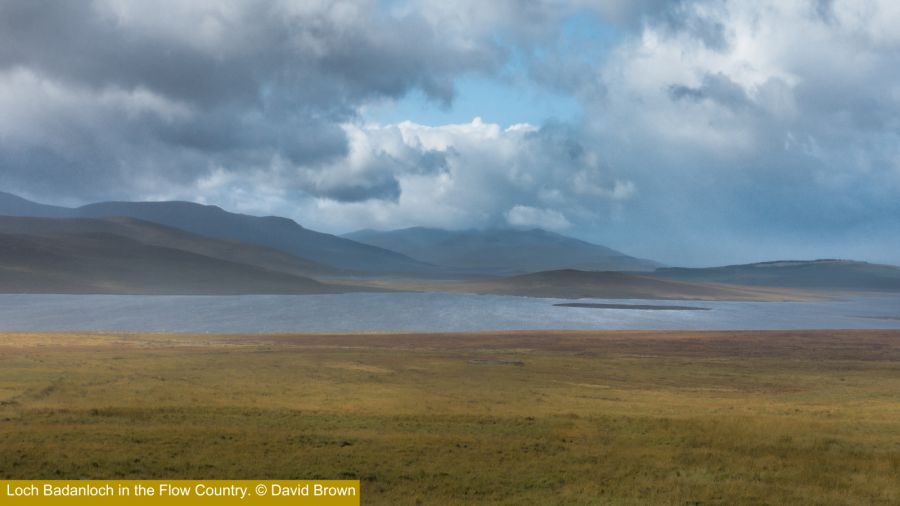 Landscape image of blanket bog, loch and mountains with clouds above