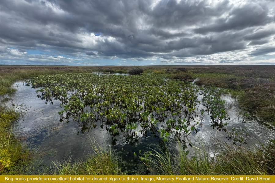 Munsary Peatland Nature Reserve