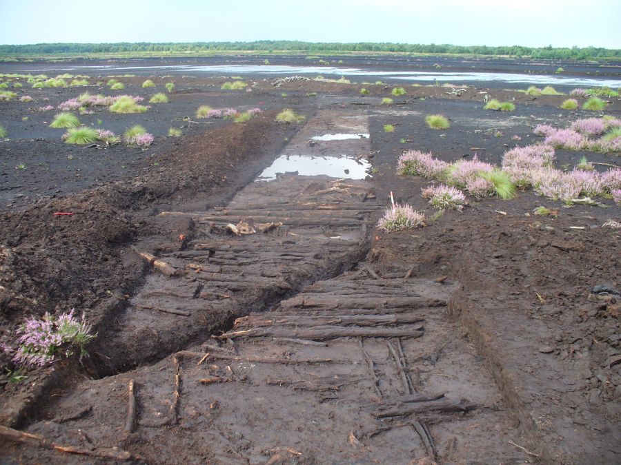 Neolithic trackway on Hatfield Moors