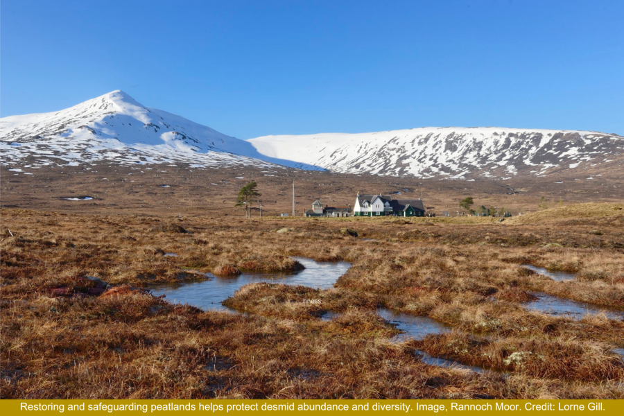 Image of Rannoch Moor, Scotland