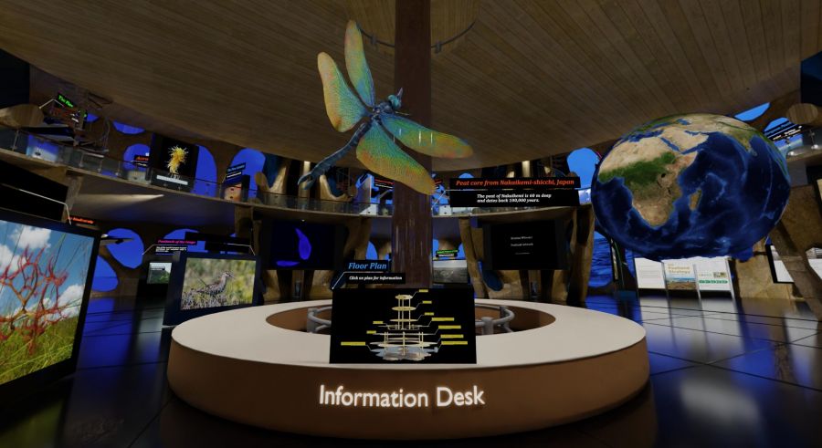 Interior of the Virtual Peatland Pavilion showing a giant dragonfly and suspended globe