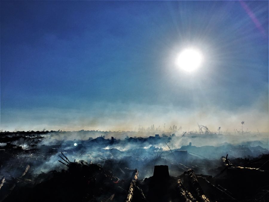 Plumes of smoke drifting up from a blackened burned landscape of tree stumps