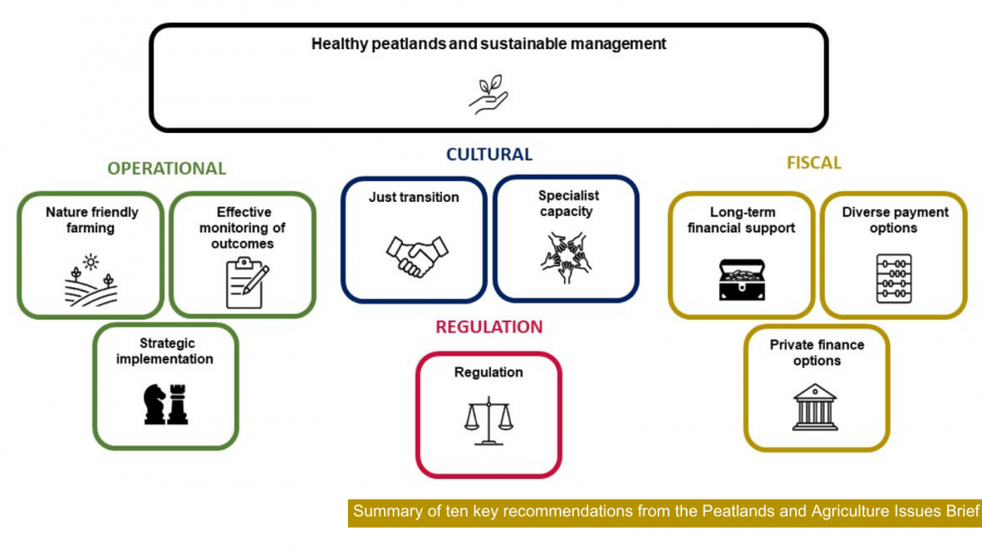 Summary diagram of the 10 key recommendations