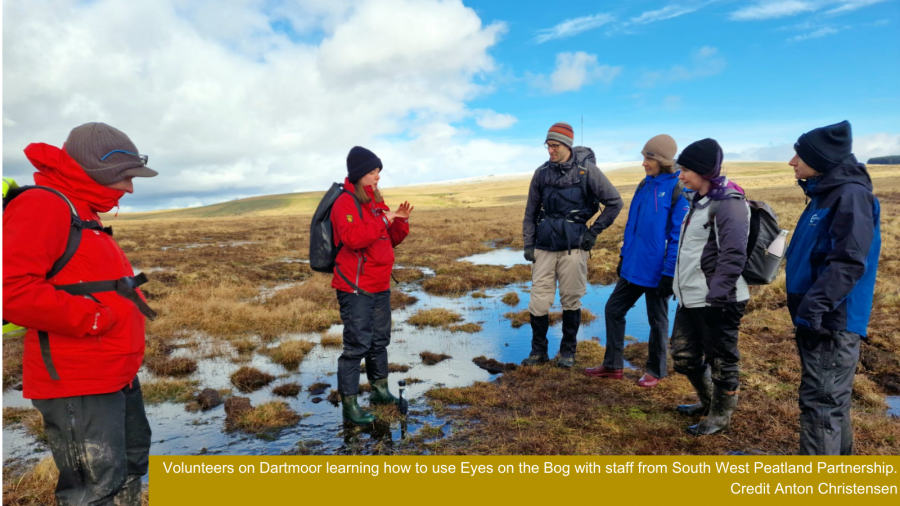 Volunteers on Dartmoor learning how to use Eyes on the Bog with staff from South West Peatland Partnership. Credit Anton Christensen. 