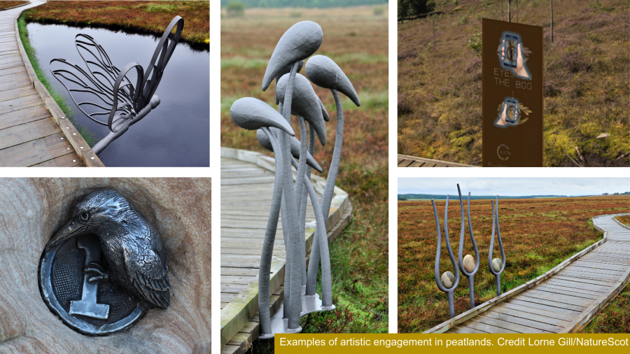 Examples of artistic engagement in peatlands 