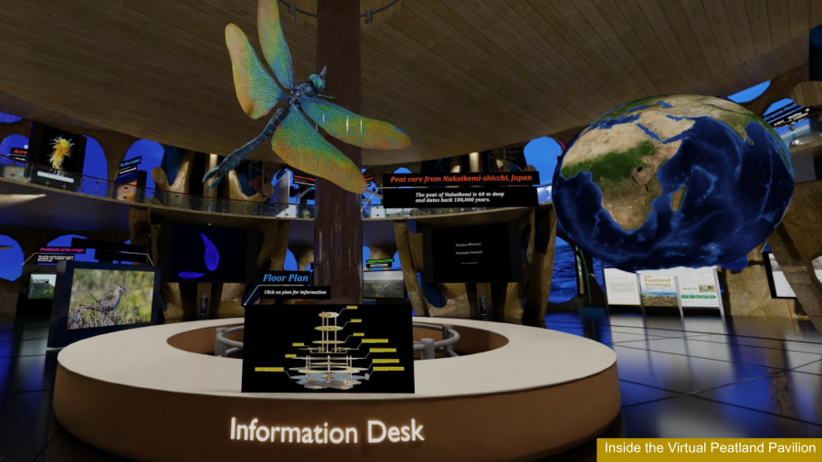 Interior of the Virtual Peatland Pavilion showing a giant dragonfly and suspended globe