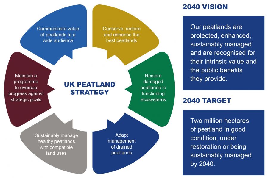 Vision and goals of the UK Peatland Strategy illustrated as coloured sections in a ring