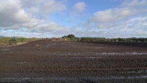 Peatland milled for horticulture