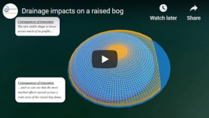 Drainage impacts on a raised bog video
