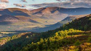 Landscape of mountains and forest