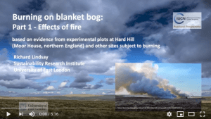 Effects of fire on blanket bog video