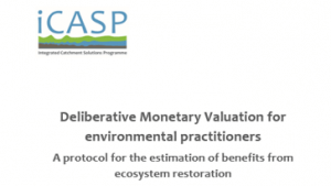 Deliberative Monetary Valuation for environmental practioners, iCASP