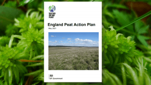 England launches Peat Action Plan