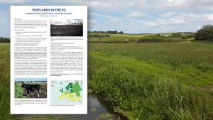 Peatlands in the EU post CAP