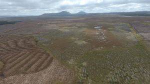 Afforested peatland restoration at Forsinard  © Neil Cowie/RSPB