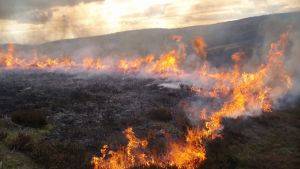 Managed burning of heather © North Pennines AONB