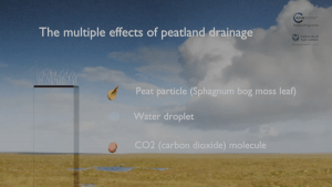 Multiple effects of peatland drainage