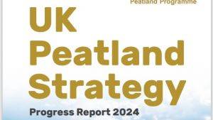 UK Peatland Strategy