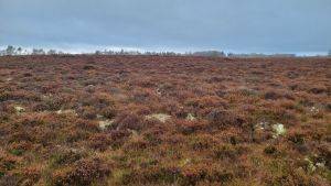 Landscape view of Red Moss of Balerno