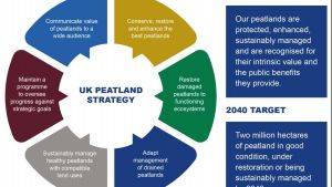UK Peatland Strategy