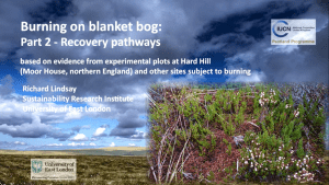 Burning on Blanket Bogs - Part 2: Recovery pathways