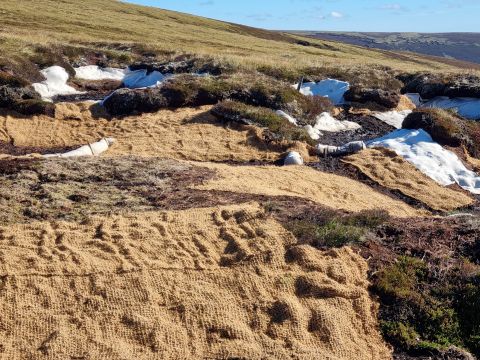 Restoration of peat bog using coir mats