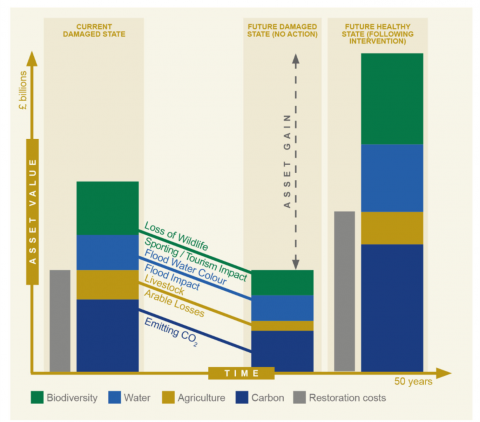 Comparing gains & costs in the transition between peatlands in different conditions