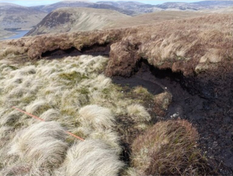 Fen Peatlands  IUCN UK Peatland Programme