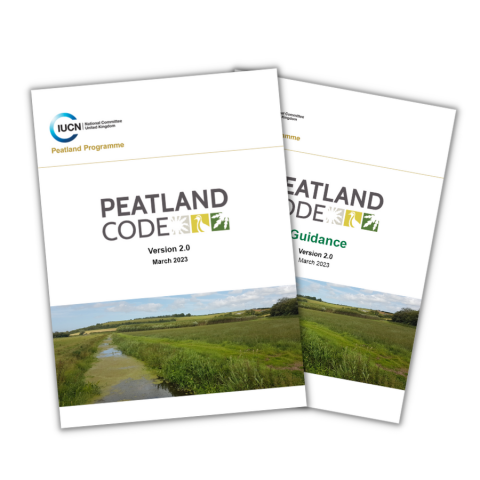 Fen Peatlands  IUCN UK Peatland Programme