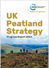 UK Peatland Strategy progress report cover