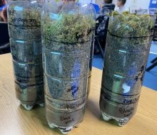 Three plastic bottles on a table. The bottom of the bottle is filled with peat with a layer of sphagnum moss on the top to represent a mini bog in a bottle.