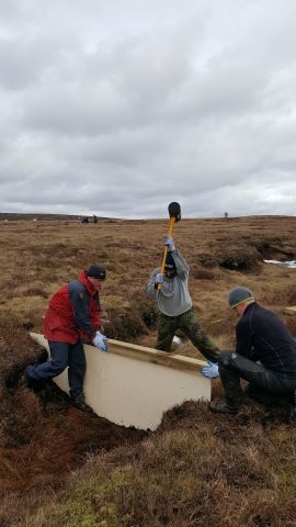 Installing experimental wooden peat dams.